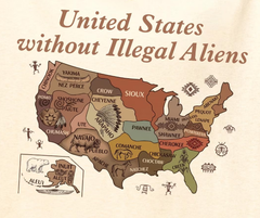 Men's United States Without Illegal Aliens Tee gracestitchs