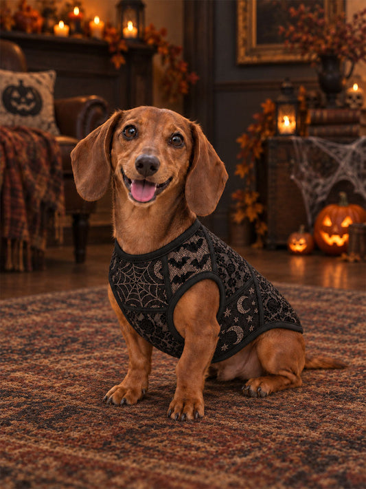 Halloween-print dog vests gracestitchs