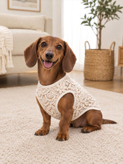 Floral Lace Print Dog Vests gracestitchs