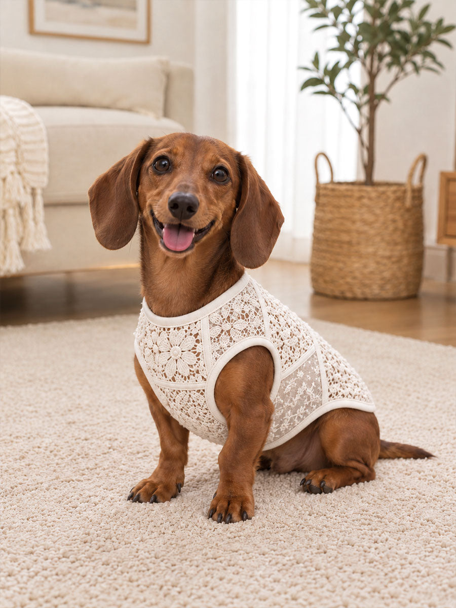 Floral Lace Print Dog Vests gracestitchs