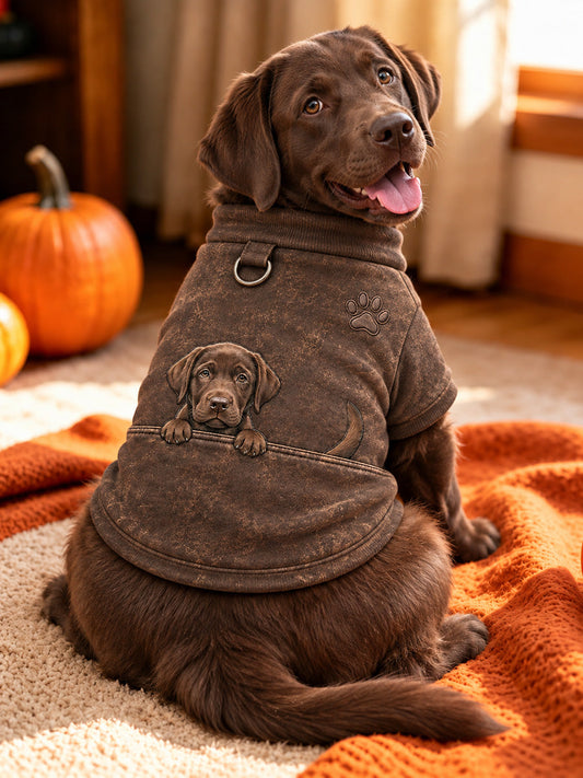 Cute Chocolate Labrador Retriever Print Dog Short-Sleeve Shirt (with D-ring) gracestitchs